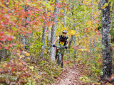 Mountain Biking on the Thompson Loop  Tsali Recreation Area  North Carolina  USA
