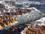 Pillars of Limestone at Bryce Canyon National Park  Utah  USA