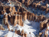 Pillars of Limestone at Bryce Canyon National Park  Utah  USA