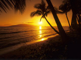 Colorful Sunset in a Tropical Paradise  Maui Hawaii  USA