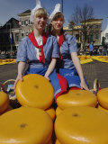 Cheese at the Alkmaar Cheese Market  Alkmaa  Netherlands  Holland