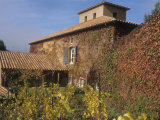 Viansa Winery and Italian Marketplace  Sonoma  California  USA
