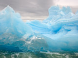 Iceberg  Western Antarctic Peninsula  Antarctica