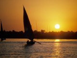 Silhouette of a traditional Egyptian Falucca  Nile River  Luxor  Egypt