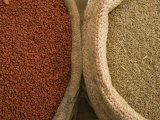 Weekly Outdoor Food Market  Pujili  Ecuador