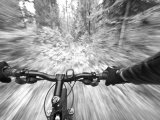 Cruising down a buff section of singletrack trail  West Glacier  Montana  USA