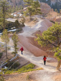 Hikers on Queens Garden Trail  Bryce Canyon National Park  Utah  USA