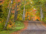 Colorful Autumn Trees  Keweenaw Penninsula  Michigan  USA