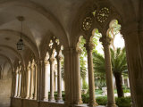 Stone arches and columns at entrance to Rector's Palace  Dubrovnik  Dalmatia  Croatia