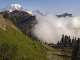 Mount Rainier rises above a fog bank  Tatoosh Wilderness  Washington State  USA