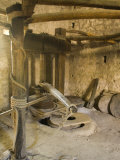 Old machinery to make olive oil at Arboretum    Trsteno    Dalmatia  Croatia