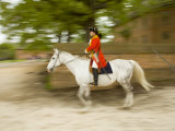 Officer on White Horse  Williamsburg  Virginia  USA