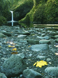Punch Bowl Falls  Columbia Gorge National Scenic Area  Oregon  USA