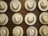 Traditional Panama Hats  Cuenca  Ecuador