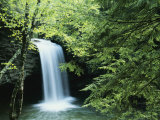 Falls of Little Stony  Jefferson National Forest  Virginia  USA