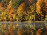 Fall color along the New River  Appalachian Mountains  Jefferson National Forest  Virginia  USA