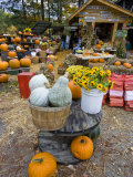 A farm stand in Holderness  New Hampshire  USA