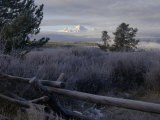 Grand Teton National Park  Wyoming  USA