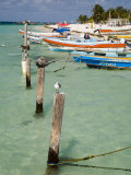 Fishing Boats Tied Up  Isla Mujeres  Quintana Roo  Mexico