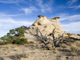 Geologic Formations near Deer Creek  Escalante National Monument  Utah  USA