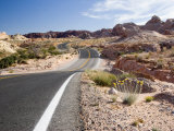 Valley of Fire State Park  Nevada  USA