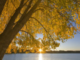 Sunrise over Black Dog Lake  Minnesota Valley NWR  Minneapolis  Minnesota  USA
