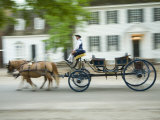 Horse-Drawn Carriage  Williamsburg  Virginia  USA