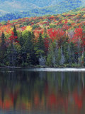 Shoreline of Heart Lake  Adirondack Park and Preserve  New York  USA
