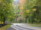 Fall Foliage on Newfound Gap Road  Great Smoky Mountains  Tennessee  USA