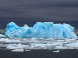 Iceberg  Western Antarctic Peninsula  Antarctica