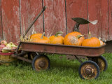 Pumpkins in Old Wagon