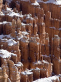 Pillars of Limestone at Bryce Canyon National Park  Utah  USA