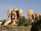 Devil's Garden  Escalante National Monument  Utah  USA