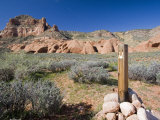 Hole-in-The-Rock Road in Grand Staircase  Escalante National Monument  Utah  USA