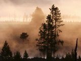 Madison River Yellowstone National Park  Wyoming  USA
