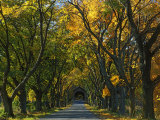 Meems Bottom Covered Bridge  Shenandoah County  Virginia  USA
