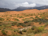 Storm at Coral Pink Sand Dunes State Park  Utah  USA