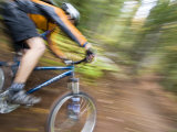 Mountain biking on the Brockway Mountain Trail  Copper Harbor  Michigan  USA