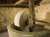 Old machinery to make olive oil at Arboretum    Trsteno    Dalmatia  Croatia
