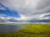 Salt Marsh side of Long Beach in Stratford  Connecticut  USA