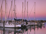 Sailboats at Dusk  Chesapeake Bay  Virginia  USA