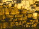 Canary Hot Spring  Mammoth Hot Springs  Treavertime Deposits  Yellowstone National Park  Wyoming