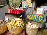 A farm stand in Holderness  New Hampshire  USA