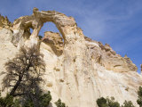 Grosvenor Arch in Grand Staircase  Escalante National Monument  Utah  USA