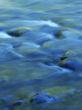 The Ohanapecosh River  Mt Rainier National Park  Washington  USA