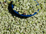 Home grown lima beans  Otavalo Market  Ecuador