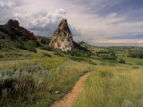 Landscape With Sunflowers  Devil's Garden  Colorado Springs  Colorado  USA