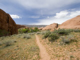 Willow Gulch Area in Grand Staircase  Escalante National Monument  Utah  USA