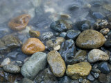 Rocks at edge of river  Eagle Falls  Snohomish County  Washington State  USA