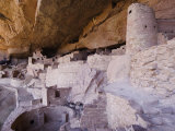 Cliff Palace Dwelling  Mesa Verde National Park  Colorado  USA